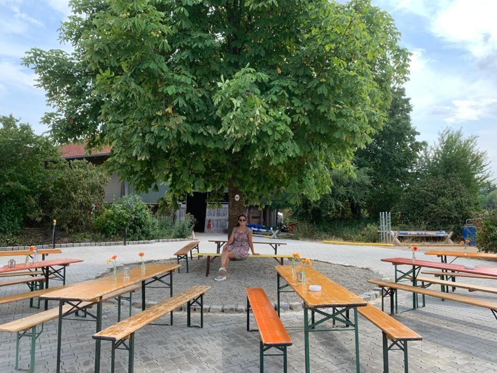 Reitschule Kronwitter Mainbernheim Buitenkant foto