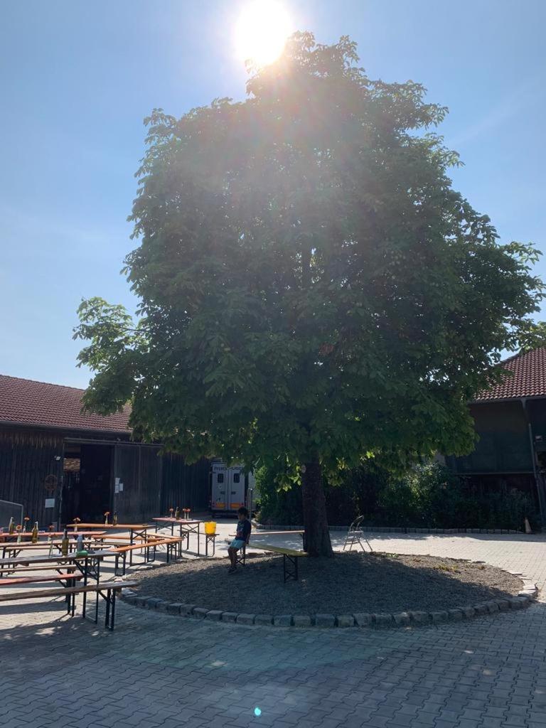 Reitschule Kronwitter Mainbernheim Buitenkant foto